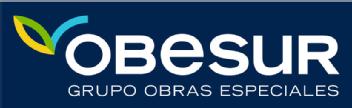 OBESUR GRUPO OBRAS ESPECIALES