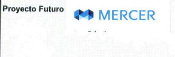 PROYECTO FUTURO MERCER