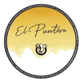 EL PUNTERO