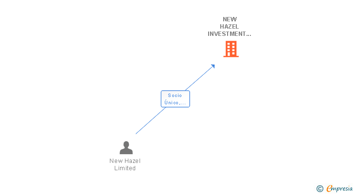 Vinculaciones societarias de NEW HAZEL INVESTMENT SL