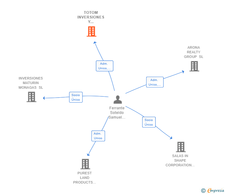 Vinculaciones societarias de TOTOM INVERSIONES Y PROYECTOS SL