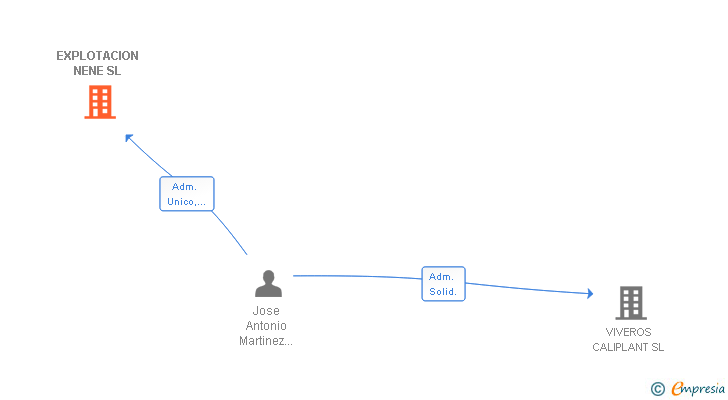 Vinculaciones societarias de EXPLOTACION NENE SL