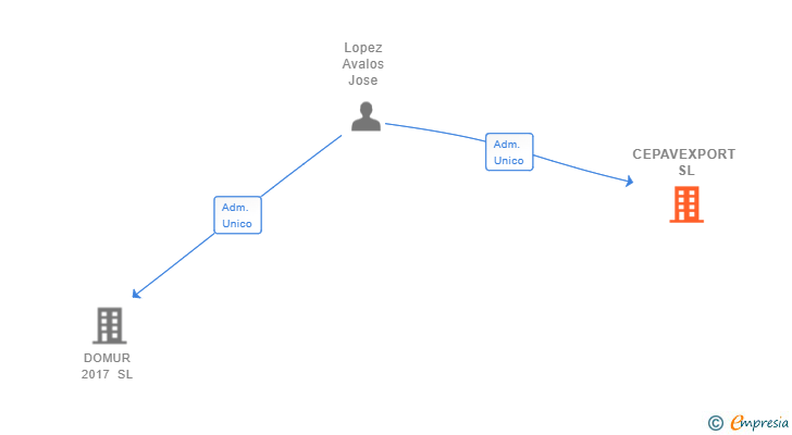 Vinculaciones societarias de CEPAVEXPORT SL