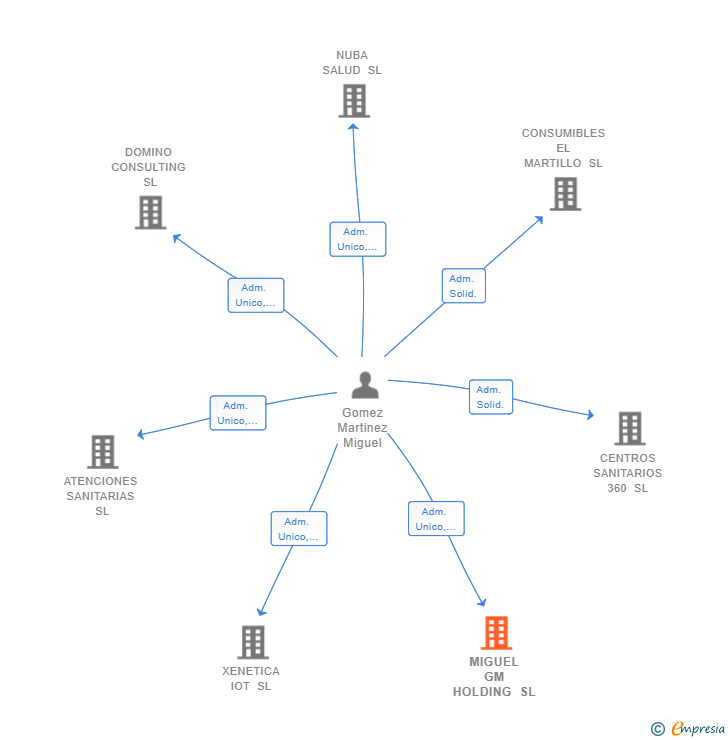 Vinculaciones societarias de MIGUEL GM HOLDING SL