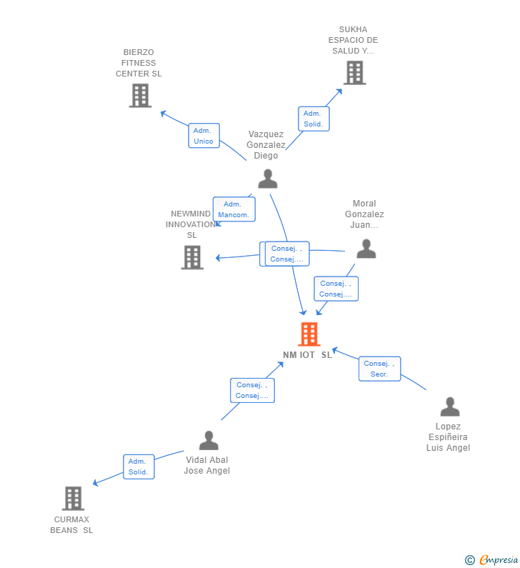 Vinculaciones societarias de NM IOT SL