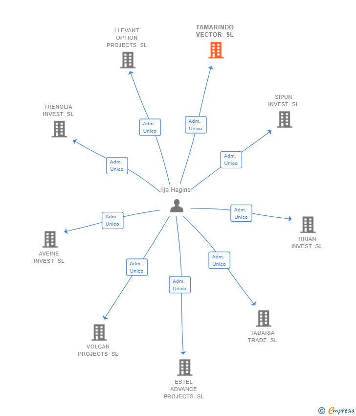 Vinculaciones societarias de TAMARINDO VECTOR SL