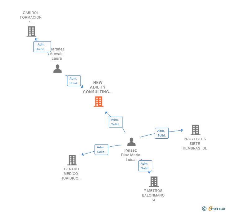 Vinculaciones societarias de NEW ABILITY CONSULTING SL