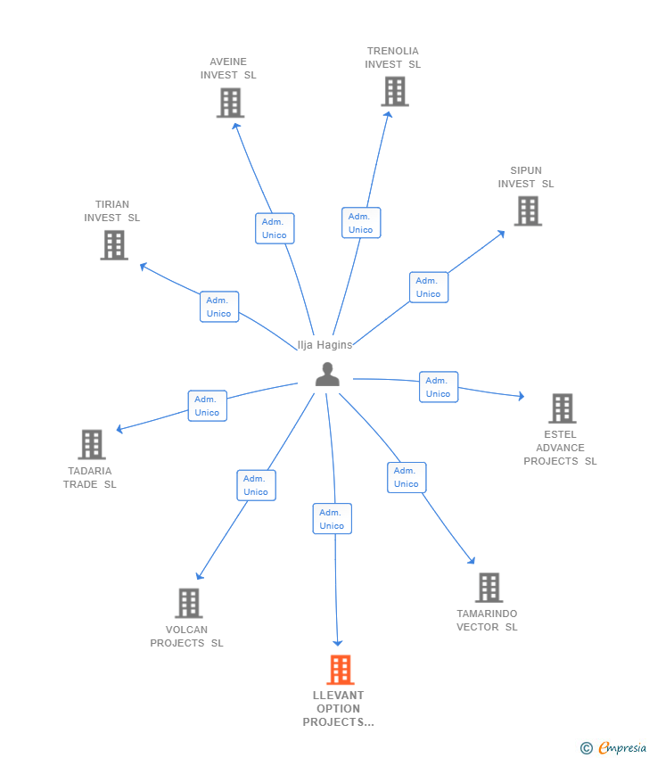Vinculaciones societarias de LLEVANT OPTION PROJECTS SL