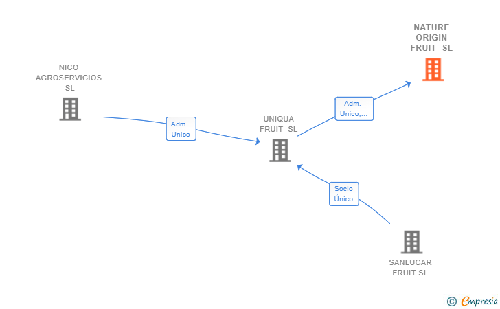 Vinculaciones societarias de NATURE ORIGIN FRUIT SL