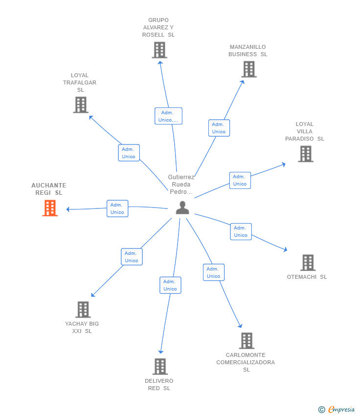 Vinculaciones societarias de AUCHANTE REGI SL