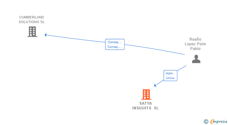 Vinculaciones societarias de SATYA INSIGHTS SL