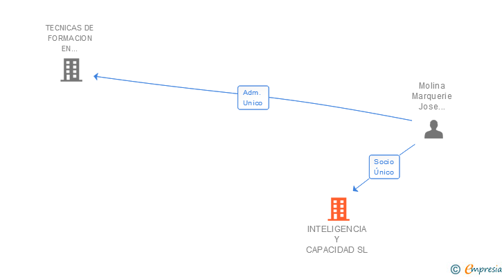 Vinculaciones societarias de INTELIGENCIA Y CAPACIDAD SL