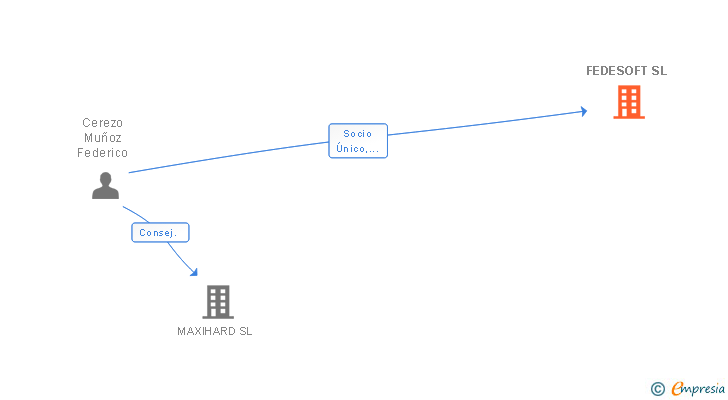 Vinculaciones societarias de FEDESOFT SL