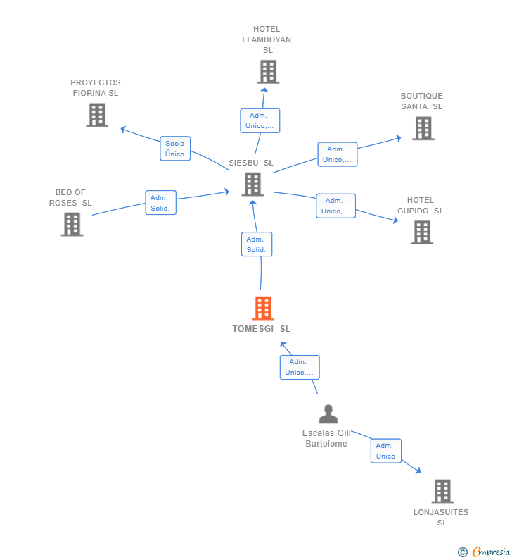 Vinculaciones societarias de TOMESGI SL