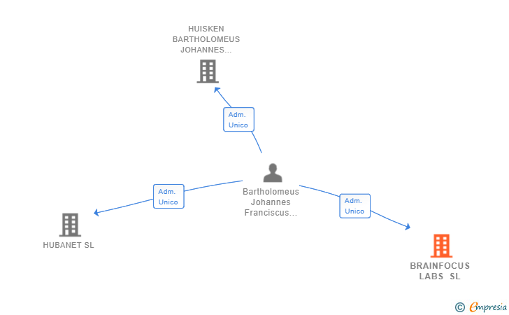 Vinculaciones societarias de BRAINFOCUS LABS SL