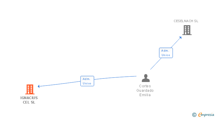 Vinculaciones societarias de IGNACIUS CEL SL
