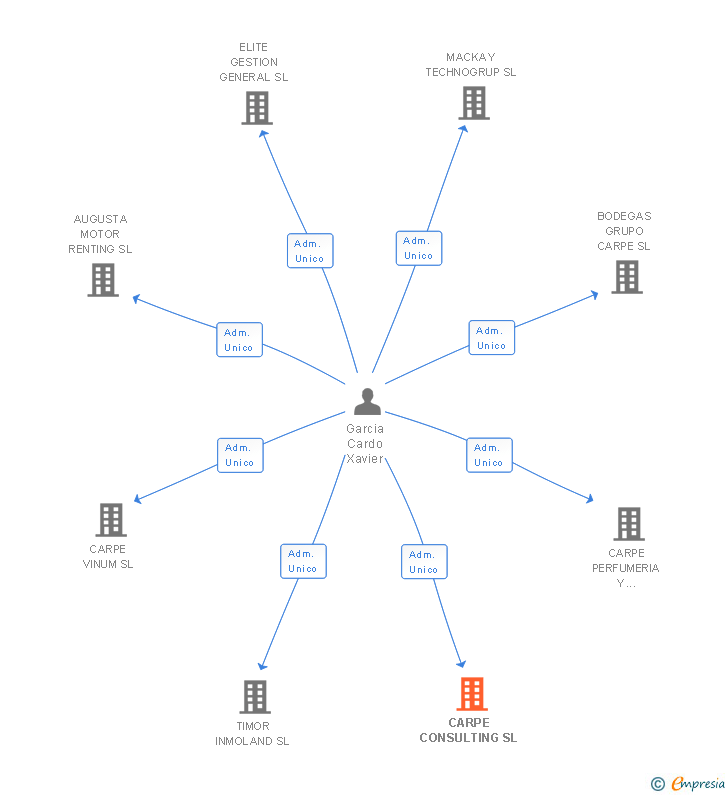 Vinculaciones societarias de CARPE CONSULTING SL